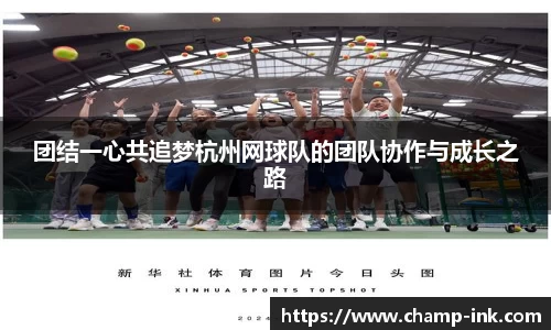 IM电竞官网