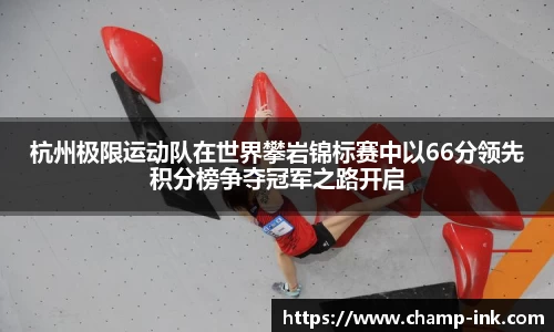 IM电竞游戏