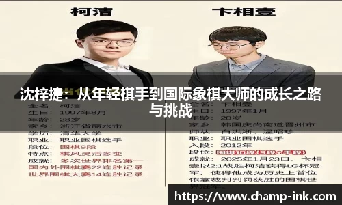 IM电竞游戏